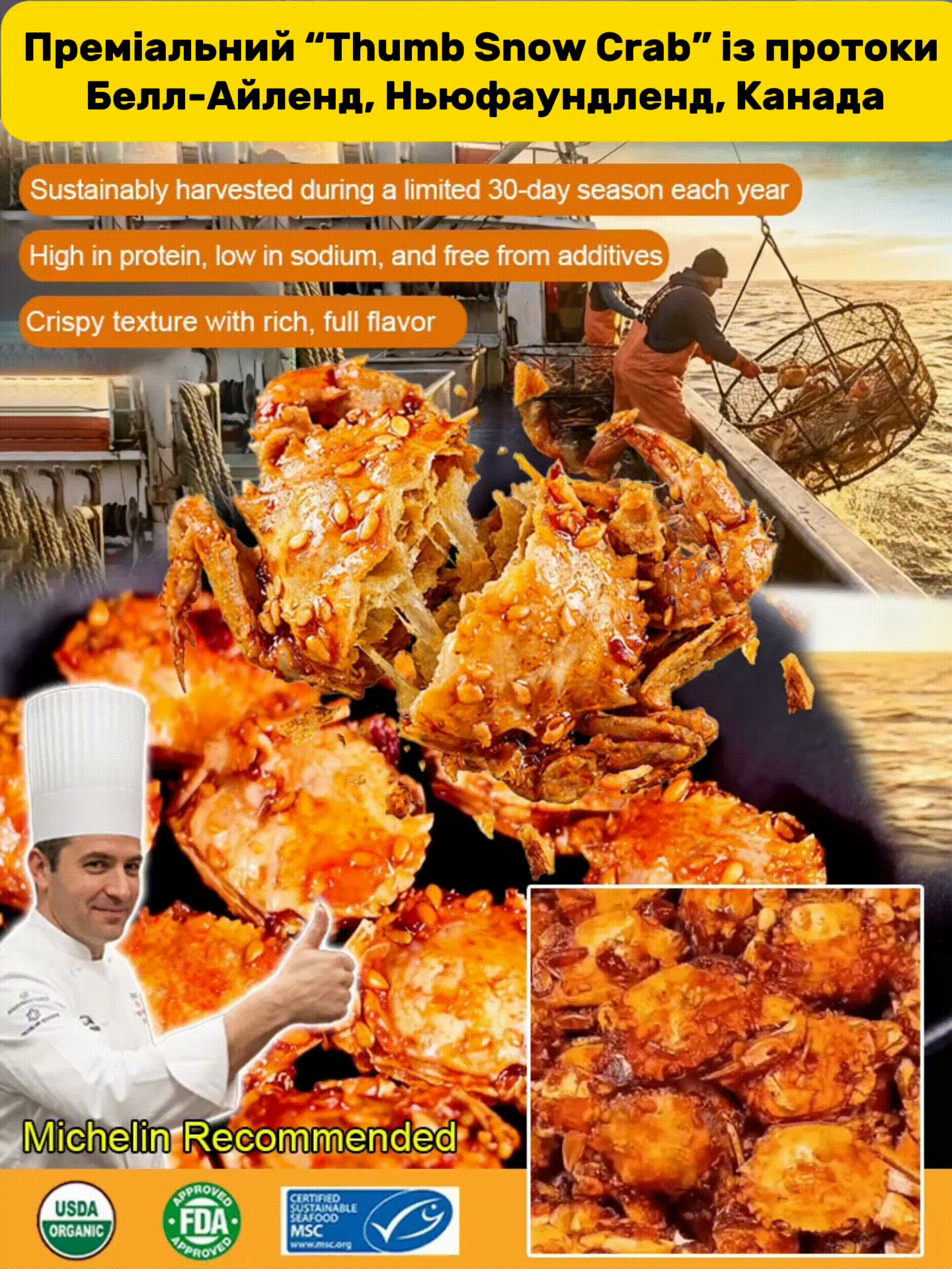 Преміальний “Thumb Snow Crab” із протоки Белл-Айленд, Ньюфаундленд, Канада